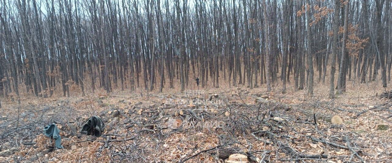 земля г Арсеньев ул Доброй Надежды 19 фото 1