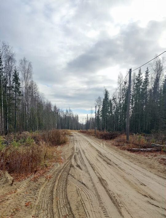 земля г Югорск ул Первопроходцев фото 3