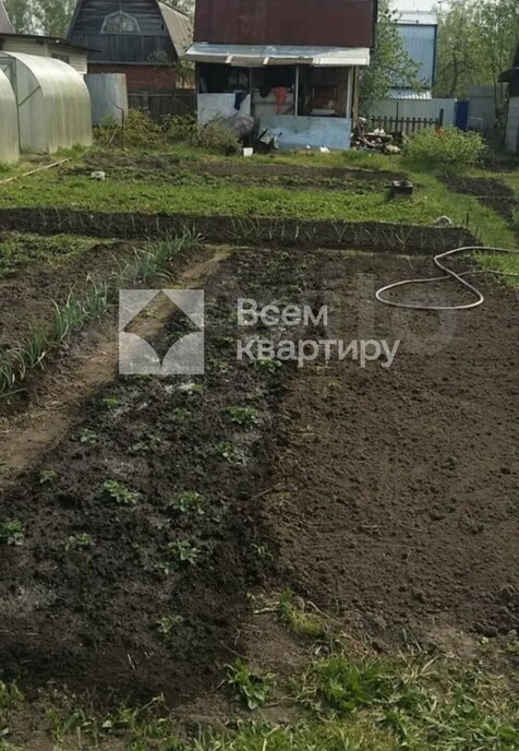 земля р-н Новосибирский снт Восток-1 Барышевский сельсовет фото 1