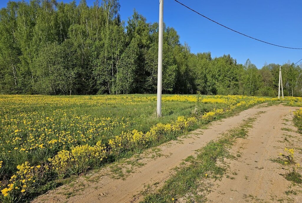 земля городской округ Шаховская д Кобылино тер Новорижская Деревенька-3 3 фото 2