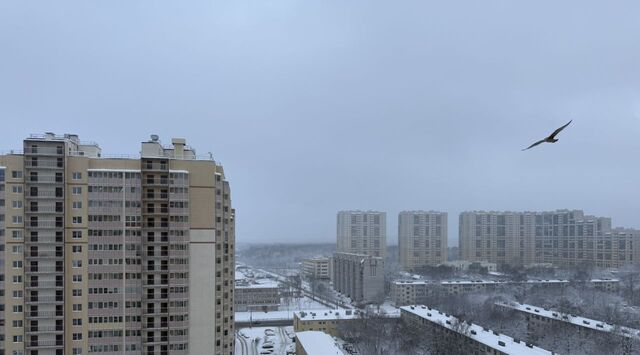 метро Пролетарская Александровское дом 14 округ Обуховский фото