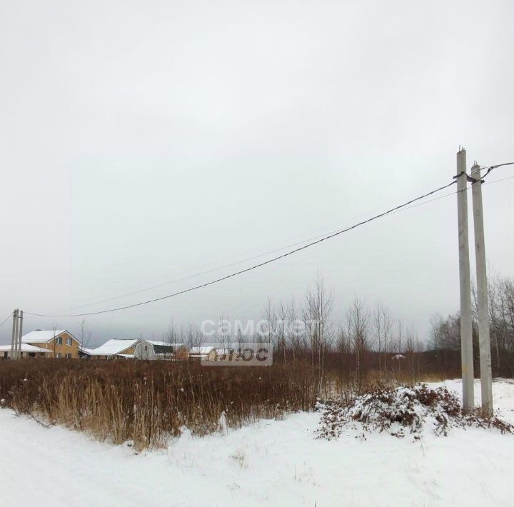 земля р-н Богородский д Каликино ул. Весенняя, Бор городской округ фото 3