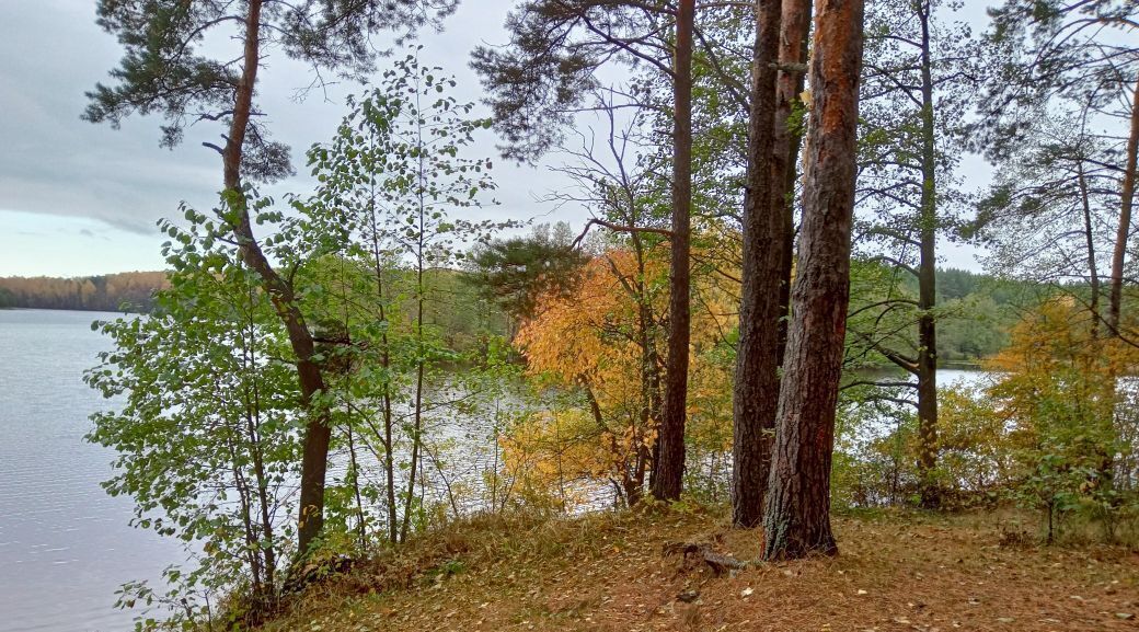 дом р-н Касимовский рп Сынтул ул Юбилейная 2в Сынтульское городское поселение фото 20