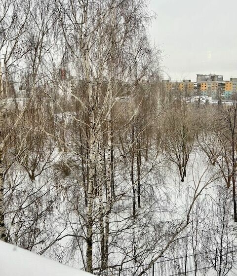 квартира г Нижний Новгород р-н Нижегородский Верхние Печёры Горьковская ул Бринского 1/1 фото 7