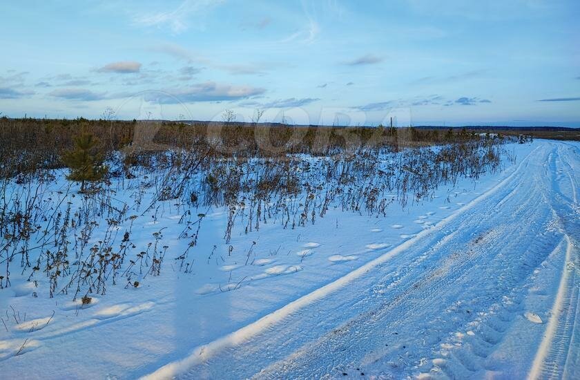 земля р-н Тюменский с Успенка Успенское сельское поселение фото 1