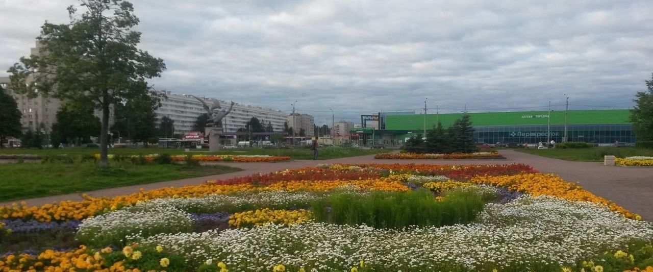 комната г Санкт-Петербург метро Гражданский Проспект пр-кт Светлановский 60к/2 фото 22