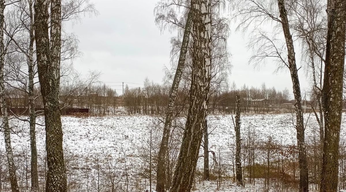 земля р-н Заокский п Шеверняево снт тер.Земляничное Демидовское с/пос, 131 фото 26