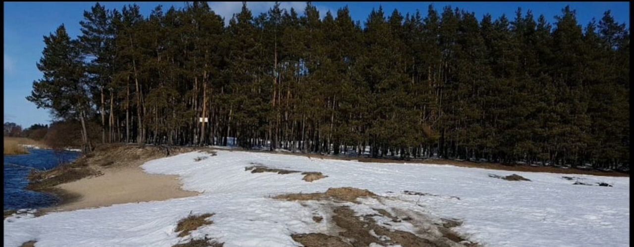 земля городской округ Шебекинский с Новая Таволжанка фото 2