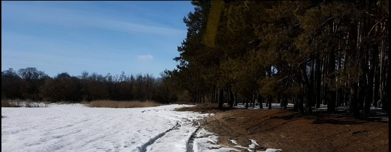 земля городской округ Шебекинский с Новая Таволжанка фото 3