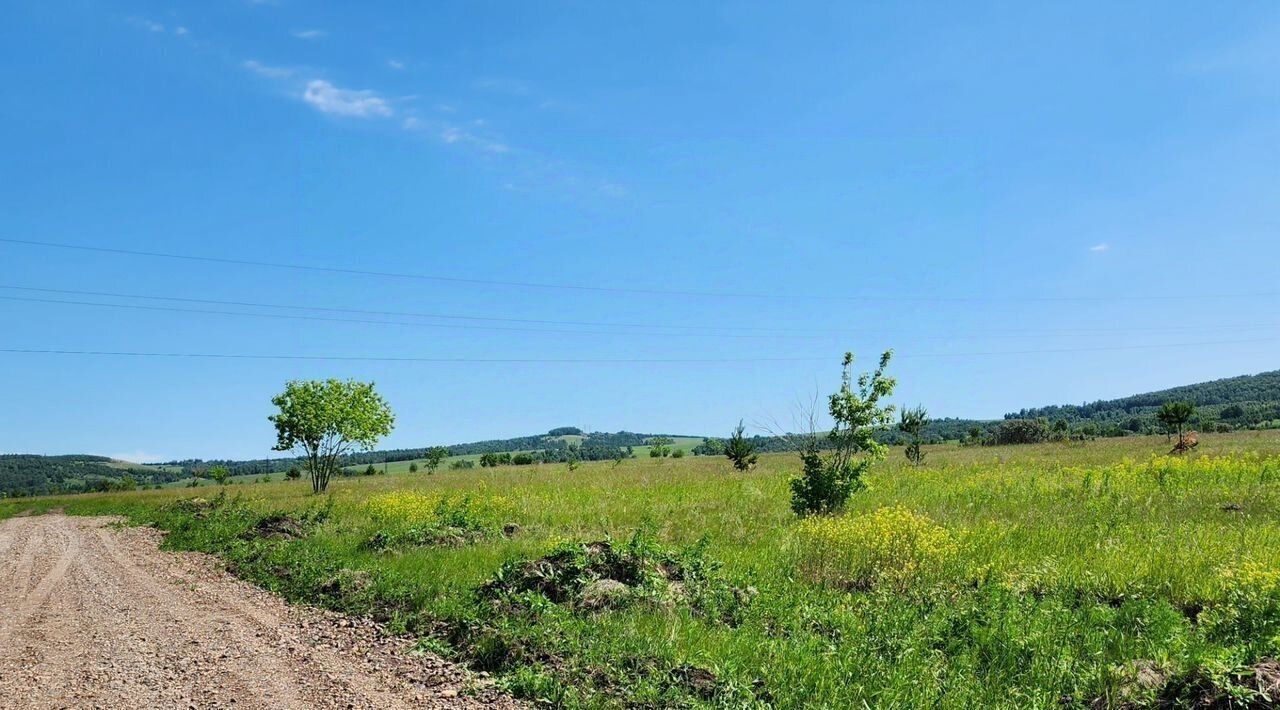 земля р-н Березовский с Зыково сельсовет, Зыковский фото 5