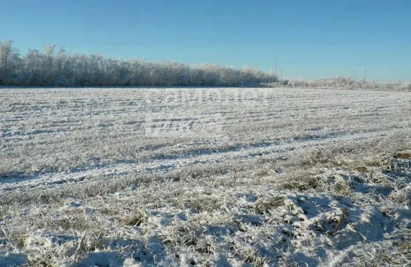 офис р-н Мошковский с Томилово Кайлинский сельсовет фото 2