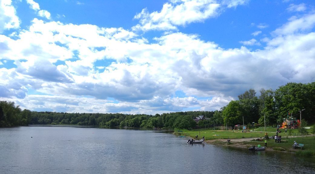 дом городской округ Пушкинский Весна парк кп, 95 фото 32