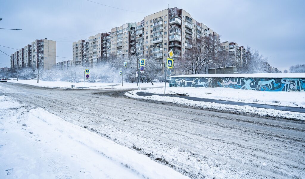 квартира г Санкт-Петербург ул Малая Балканская 62/25 Дунайская фото 19