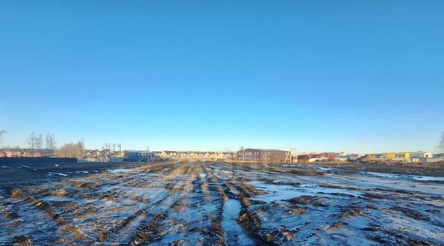 Бугровское городское поселение, ул. Дорожников фото