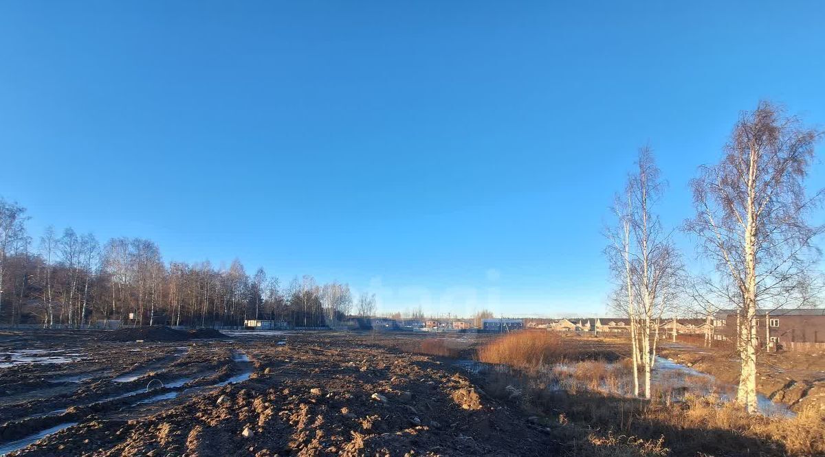 офис р-н Всеволожский д Порошкино Бугровское городское поселение, ул. Дорожников фото 5