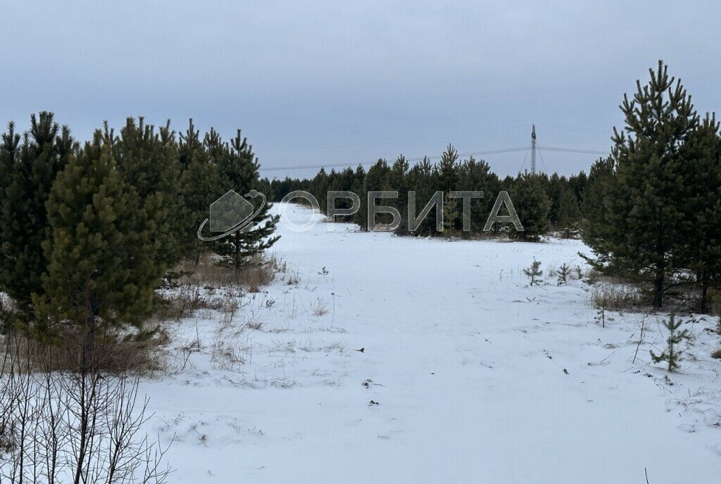 земля г Тюмень тер дачное некоммерческое товарищество Березка Подушкино, село Каменка фото 3