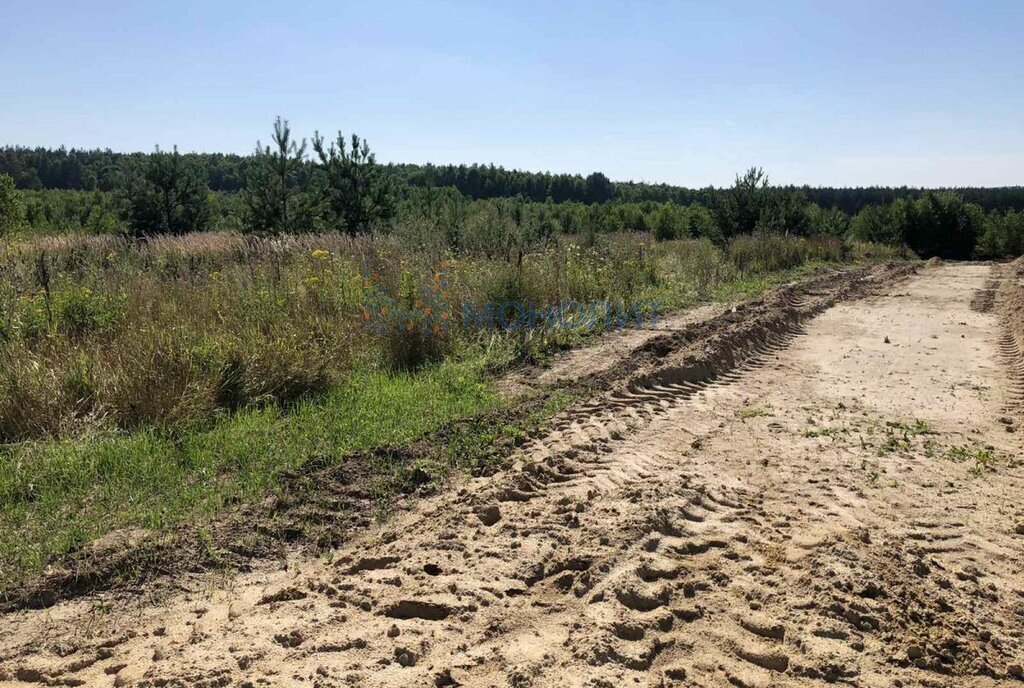 земля р-н Богородский д Непецино ул Ромашковая 4 фото 6