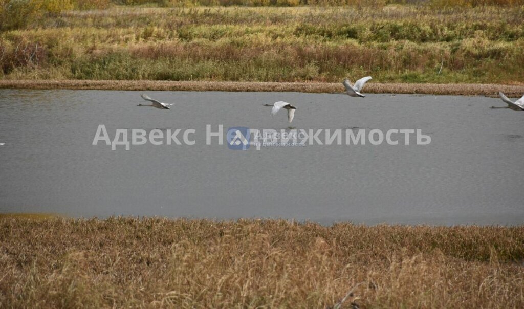 земля р-н Ярковский д Березов Яр ул Береговая 16а фото 5