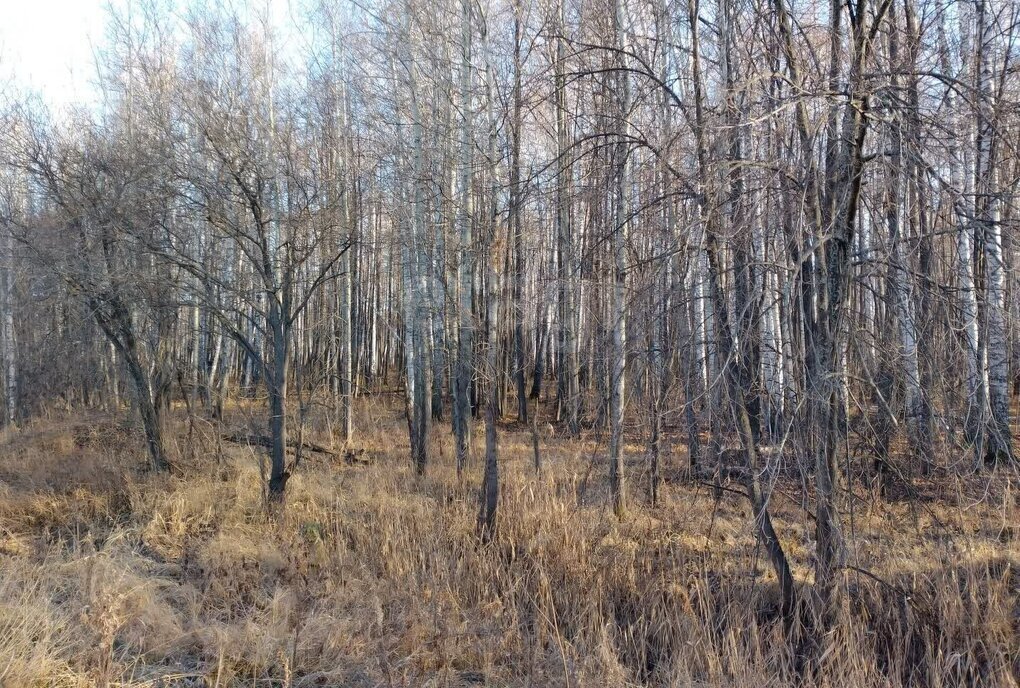 земля р-н Нижнетавдинский с Тюнево Тюневское сельское поселение фото 4