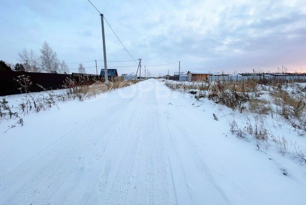 земля р-н Тюменский с Каменка фото 4