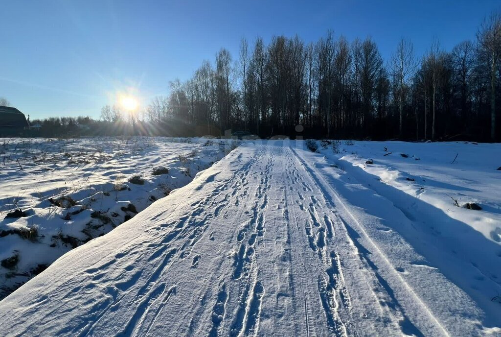 земля р-н Тюменский д Насекина фото 10