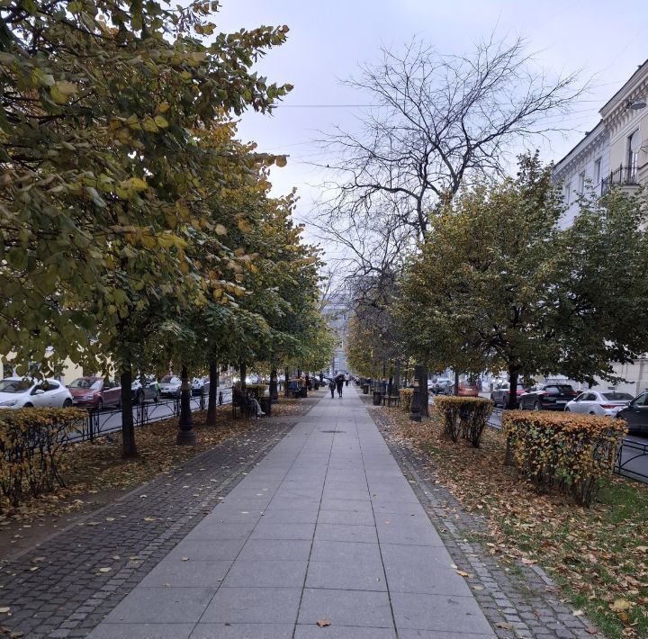 свободного назначения г Санкт-Петербург метро Чернышевская ул Фурштатская 2/12 округ Литейный фото 35