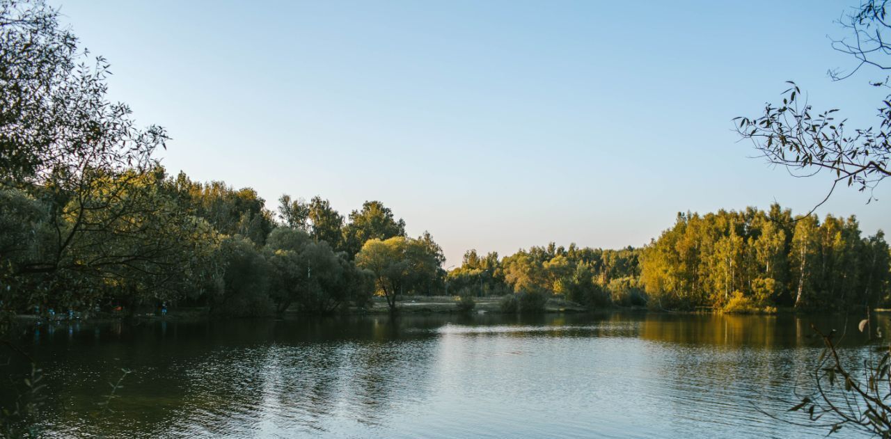 дом городской округ Подольск с/п Лаговское Подольск фото 25