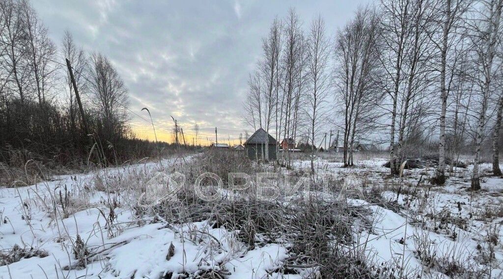 земля р-н Нижнетавдинский снт Сочинские фото 2