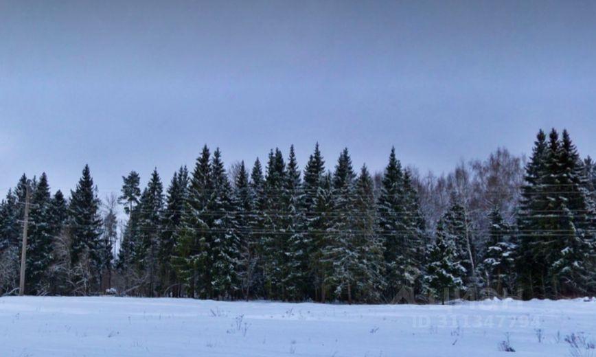 земля городской округ Дмитровский с Подъячево фото 6