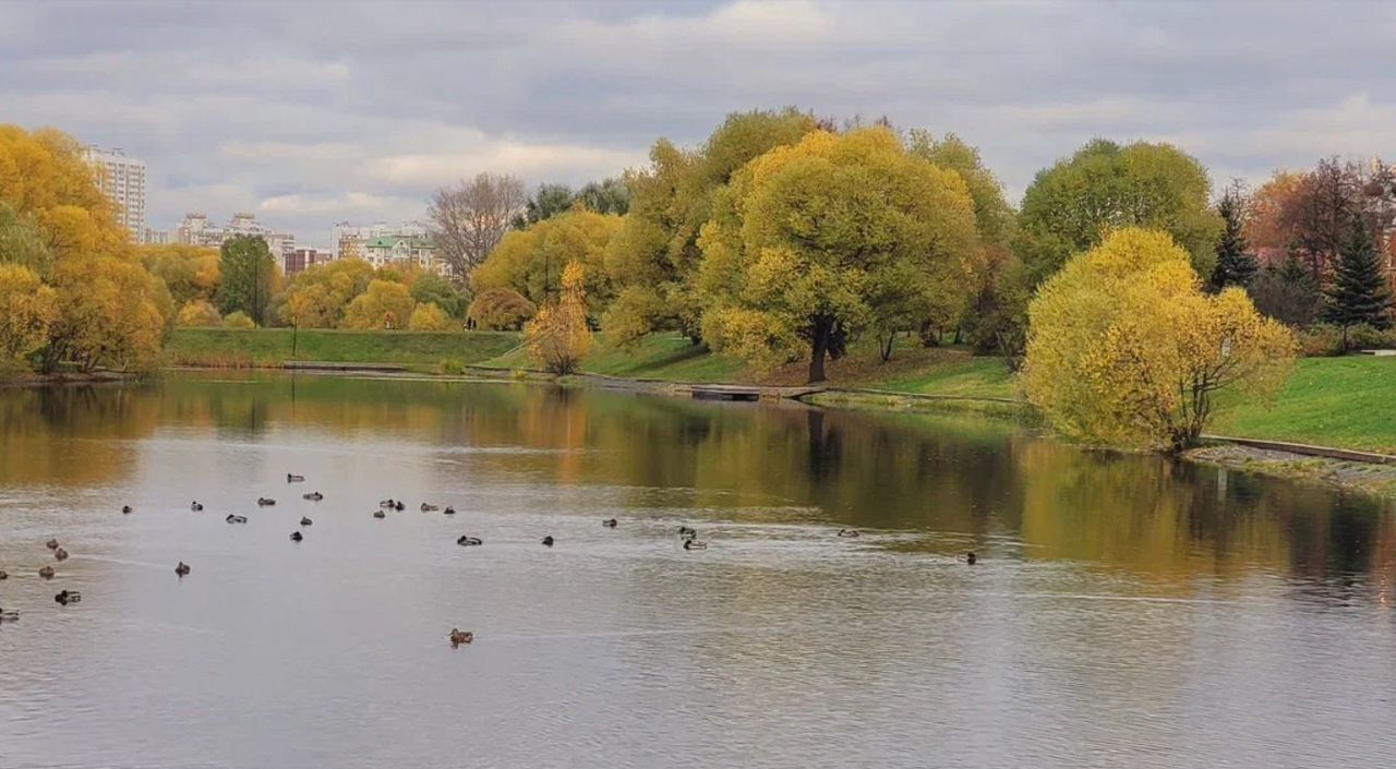 квартира г Москва метро Бунинская аллея Чечёрский пр., 66 фото 10