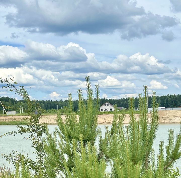 земля городской округ Богородский д Следово фото 10