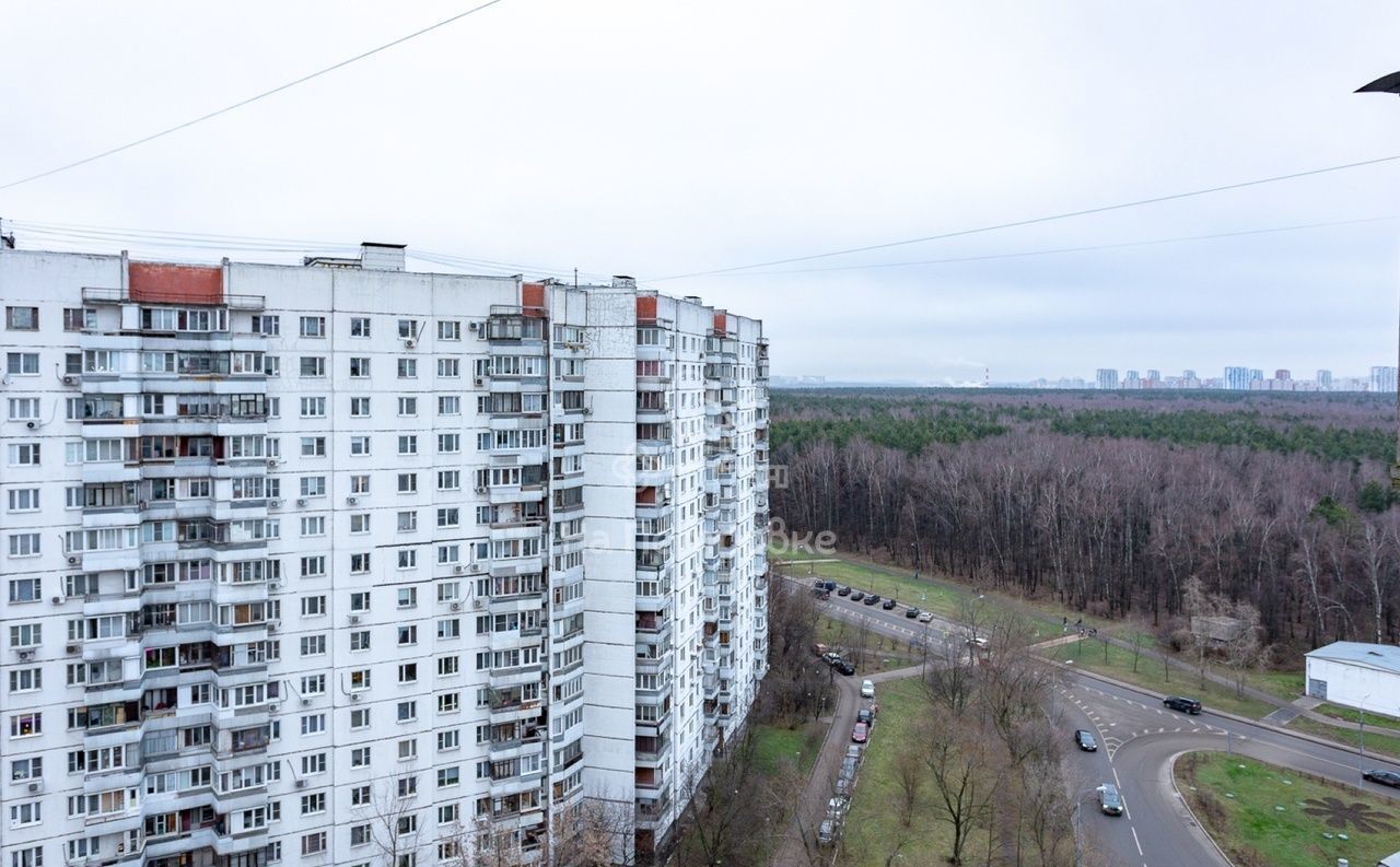 квартира г Москва метро Новокосино ул Городецкая 12/17к 1 муниципальный округ Новокосино фото 21