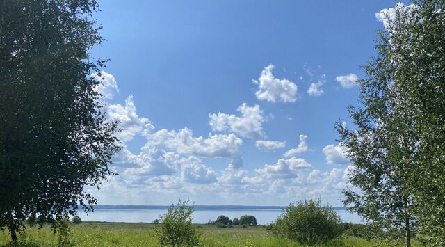 ДНТ, Переславль-Залесский городской округ фото