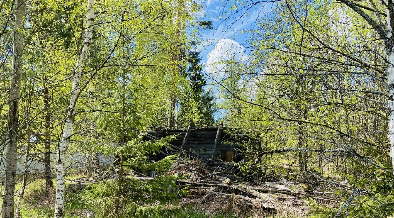 земля р-н Переславский п Талицы Переславль-Залесский городской округ фото 3