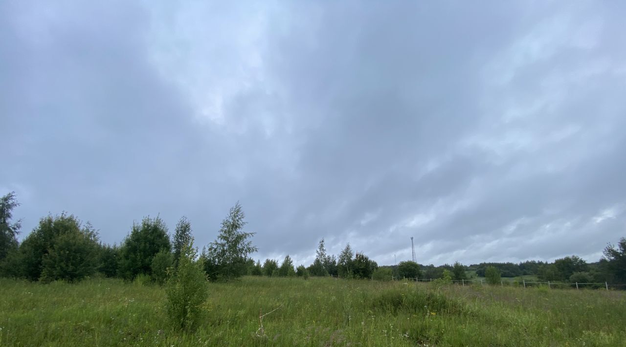 земля р-н Переславский ДНТ Синь-Камень ДНТ, Переславль-Залесский городской округ фото 5