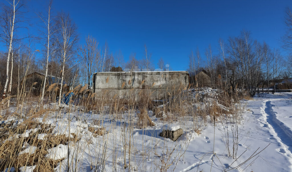 земля р-н Хабаровский с Некрасовка ул Школьная сельское поселение Село Некрасовка фото 3