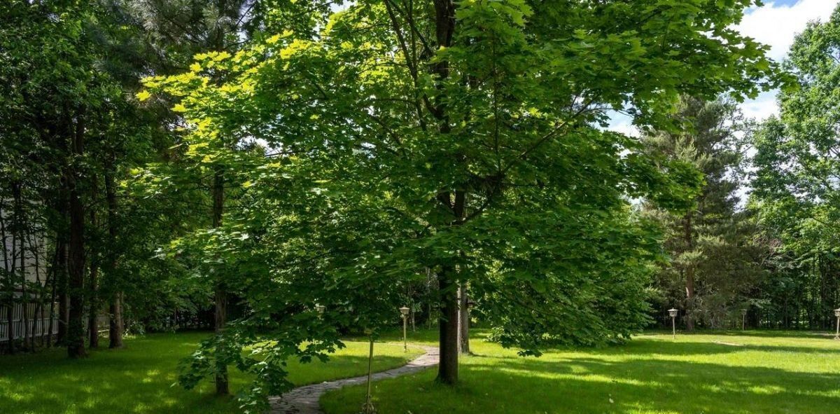 земля городской округ Одинцовский д Таганьково Николино кп, Одинцово фото 1