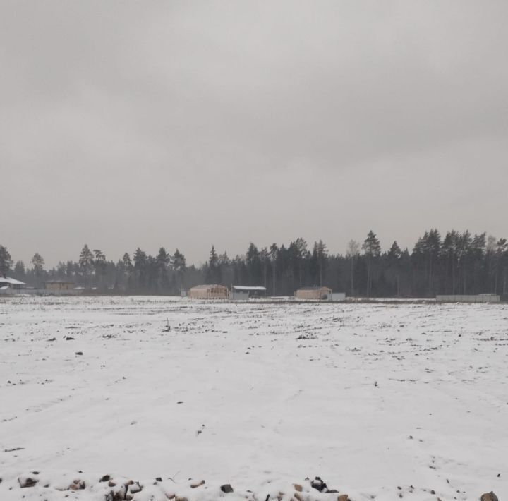 земля городской округ Богородский Восточная деревня кп, Железнодорожная, 198 фото 9