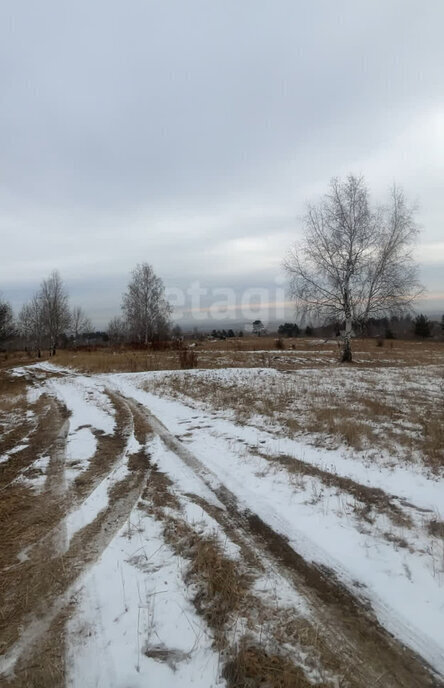 земля г Чита р-н Черновский СНТ Зелёный бор фото 1