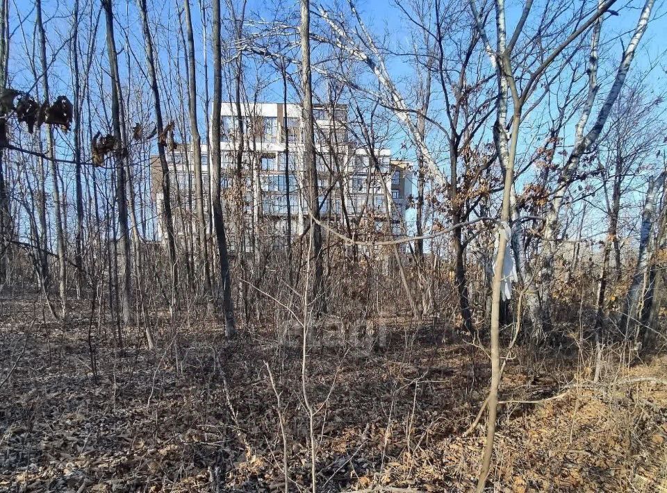 земля г Владивосток р-н Советский ул Садгородская 13 фото 6