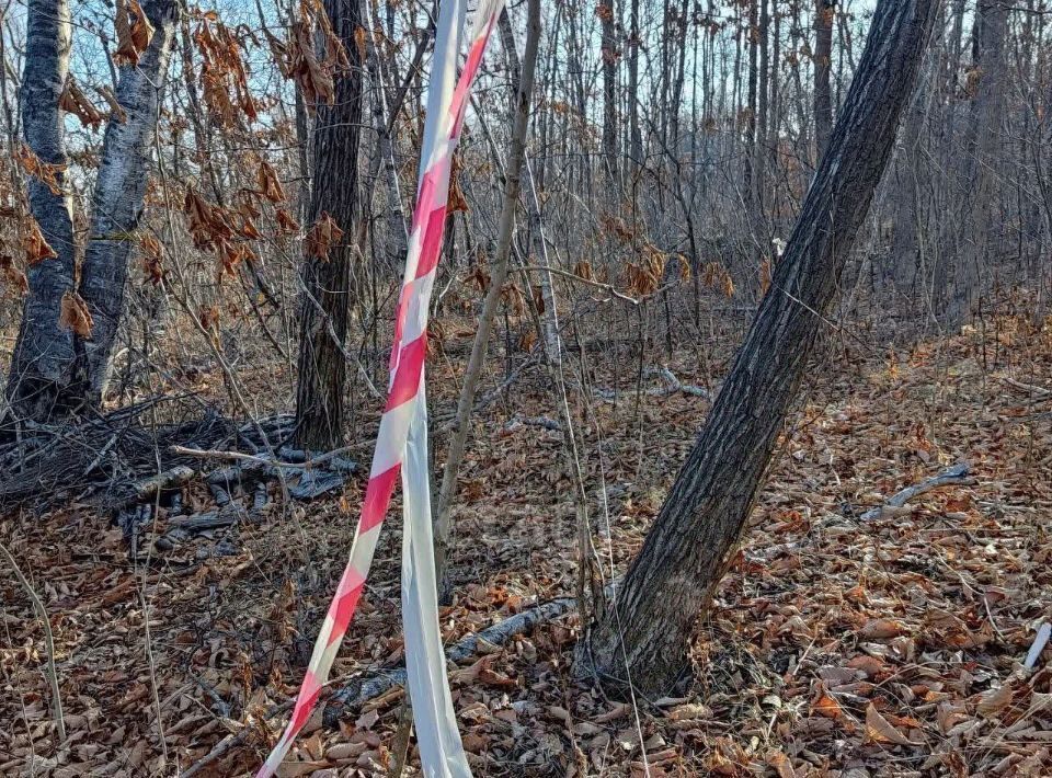 земля г Владивосток р-н Советский ул Садгородская 13 фото 13