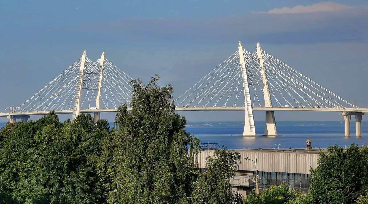 квартира г Санкт-Петербург метро Василеостровская ул Опочинина 17 округ Гавань фото 27