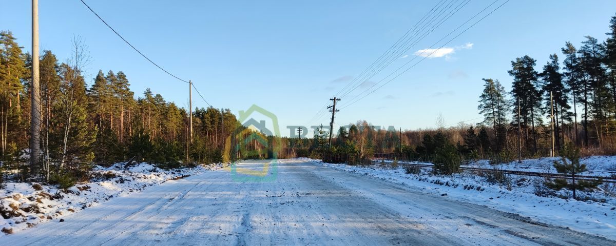 земля р-н Выборгский п Малышево Приморское шоссе, 64 км, Приморское городское поселение, Красная Долина фото 4