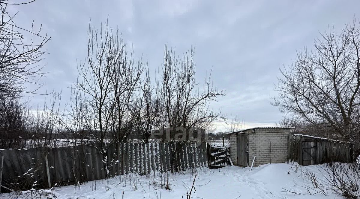 дом р-н Острогожский х Яблочный ул Володи Якунина Болдыревское с/пос фото 17