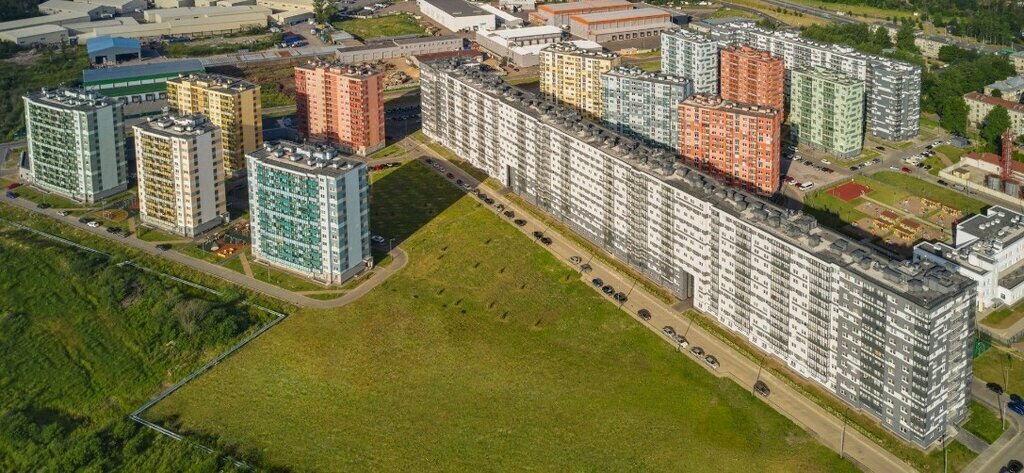 свободного назначения г Санкт-Петербург метро Академическая пр-кт Пискарёвский 145к/3 округ Полюстрово фото 3