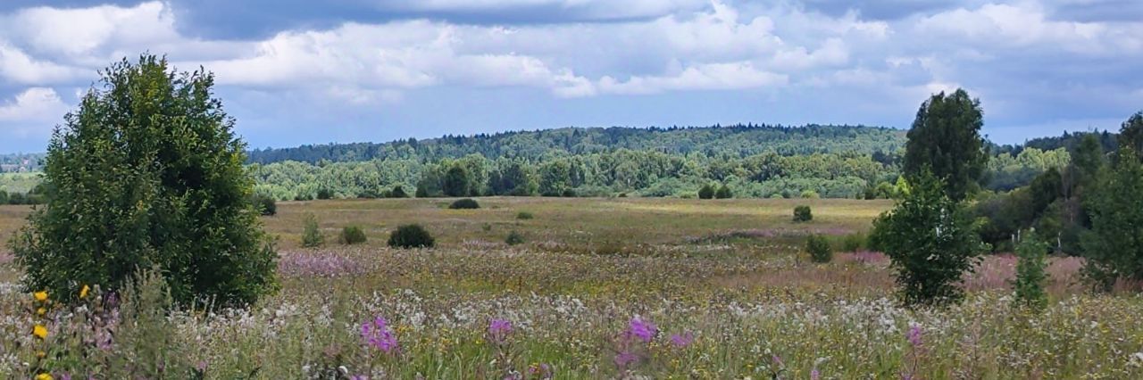 офис городской округ Солнечногорск д Мостки фото 1