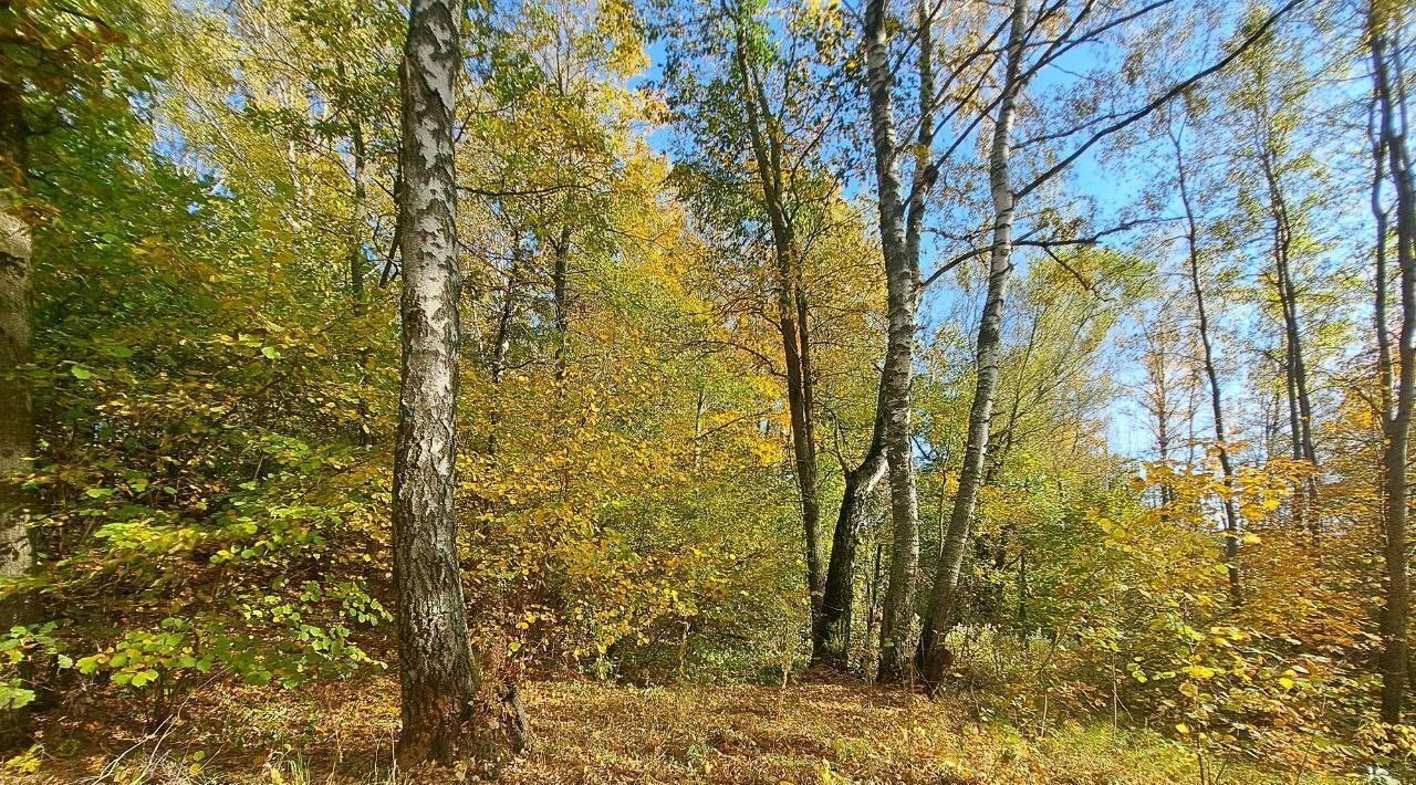 офис г Кашира д Завалье-1 фото 1