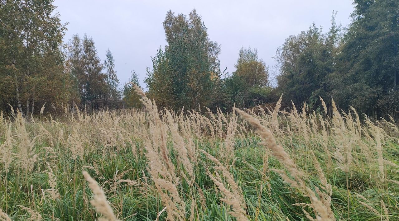 офис городской округ Раменский д Кулаково фото 1