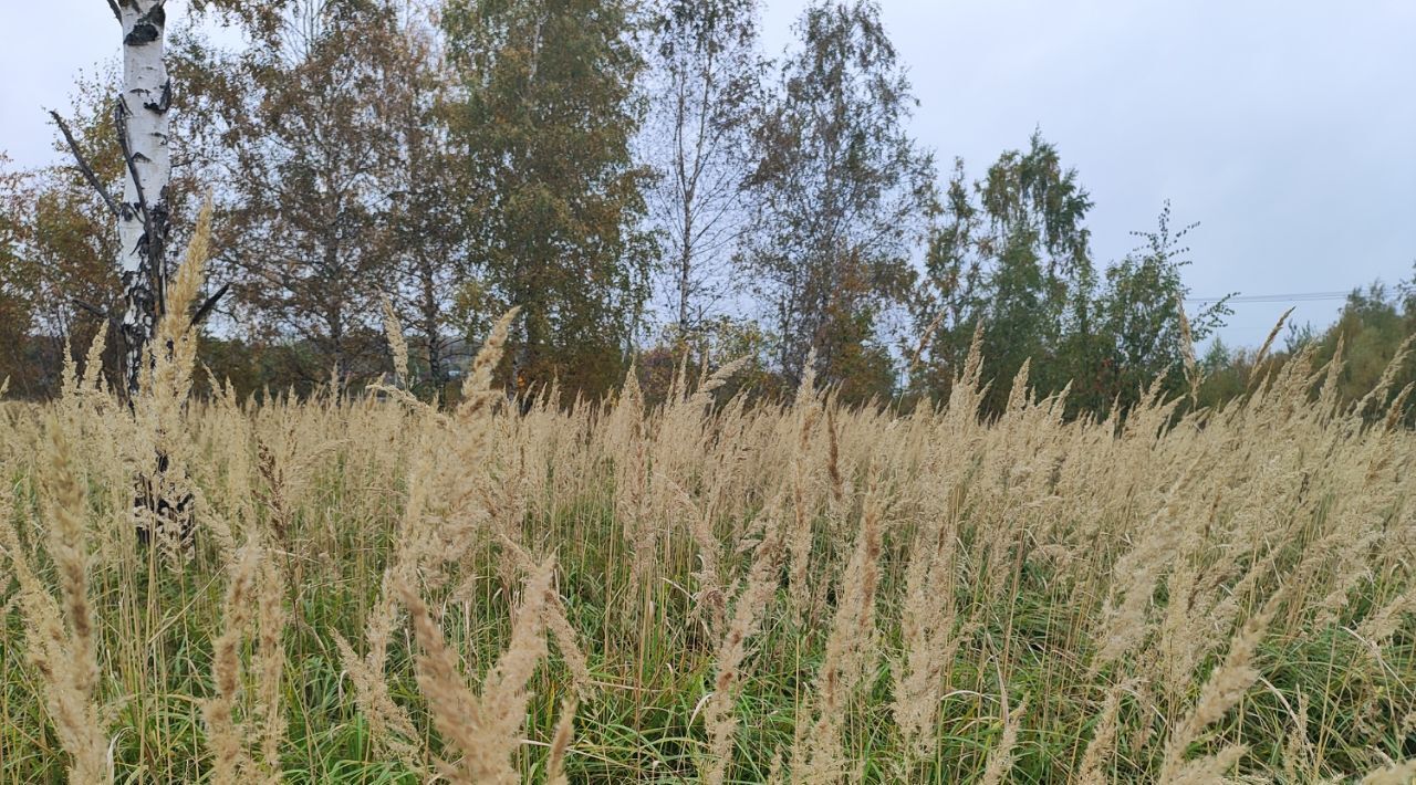 офис городской округ Рузский п Колюбакино фото 1