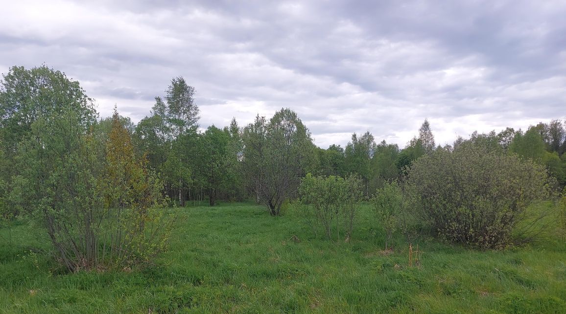 офис городской округ Наро-Фоминский д Новоалександровка фото 1